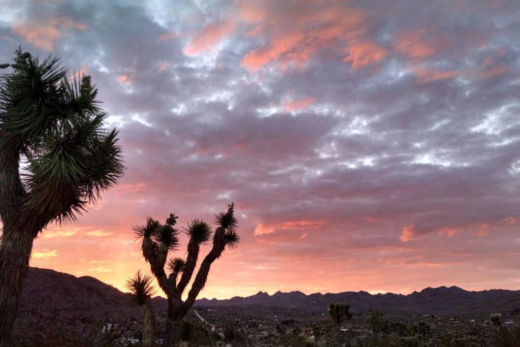 Steph'S Panorama Paradise-Nat'L Park Minutes Away Joshua Tree Exterior foto