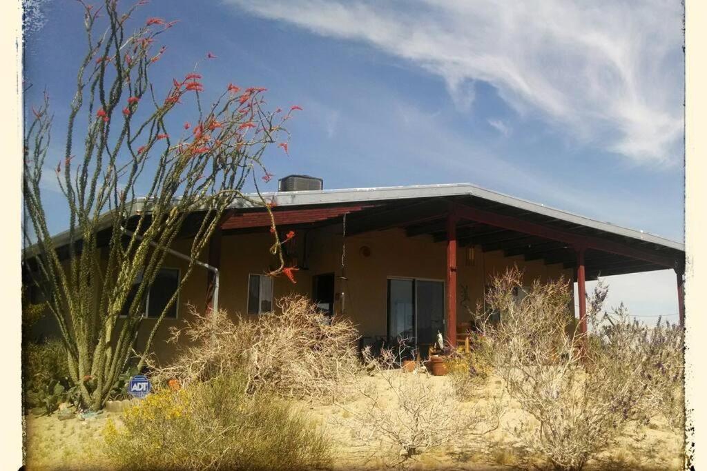 Steph'S Panorama Paradise-Nat'L Park Minutes Away Joshua Tree Exterior foto